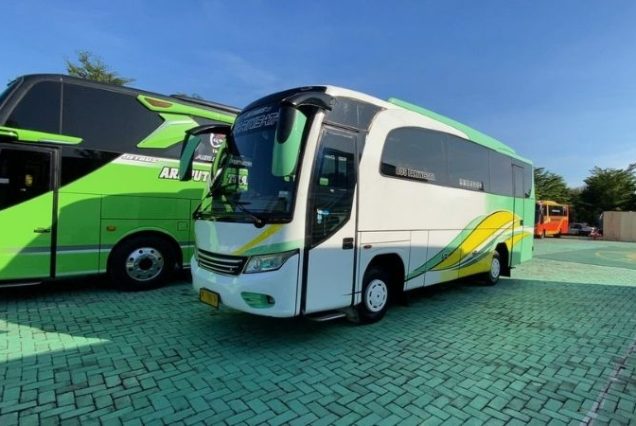 Medium Bus 35 Seat